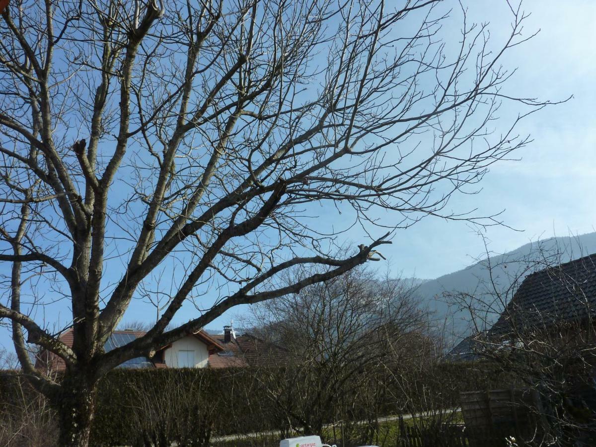 Studio 30 M2 Jardinet 10Minutes Annecy Villa Naves-Parmelan Exterior photo
